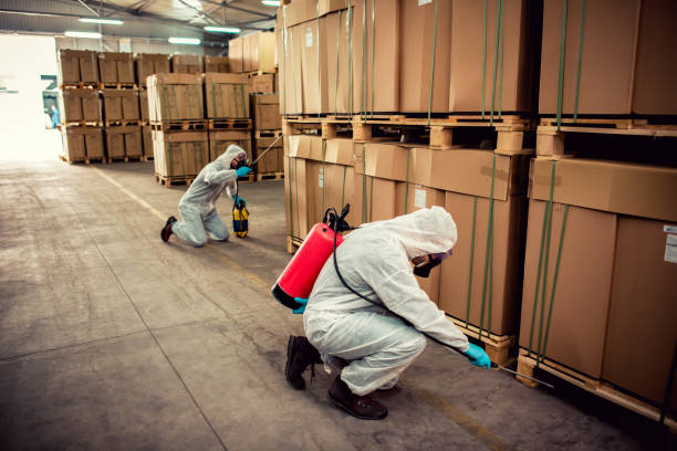 Best Pest Removal Services  in Dubois, PA