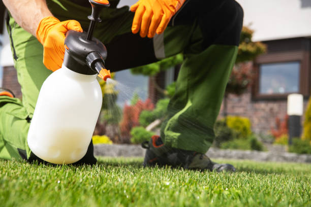 Best Pest Removal Services  in Dubois, PA