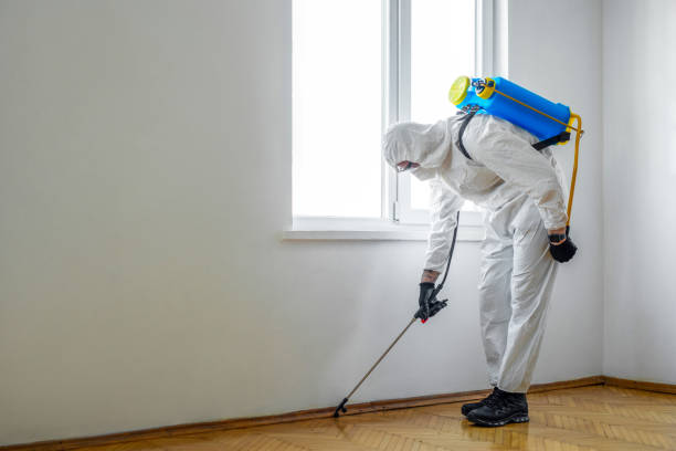 Best Local Pest Control Services  in Dubois, PA