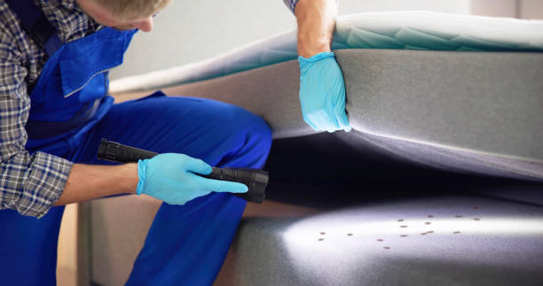 Best Pest Inspection Near Me  in Dubois, PA