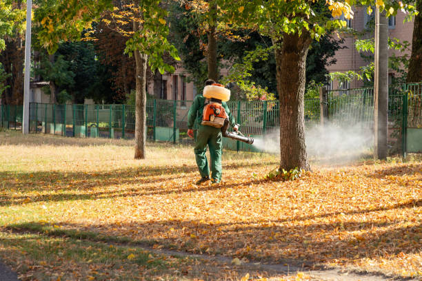 Best Pest Prevention Services  in Dubois, PA